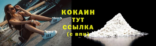 спайс Алзамай