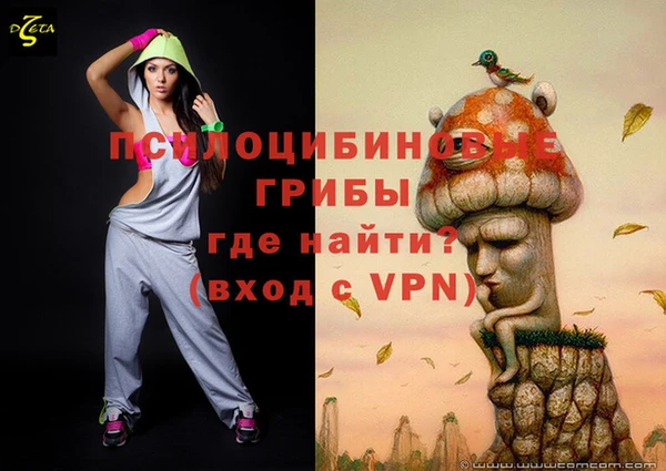 мет Алексин