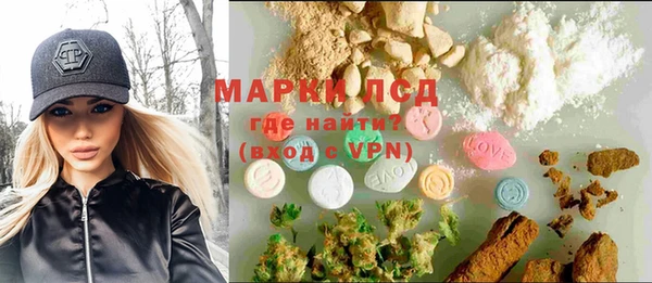 мет Алексин