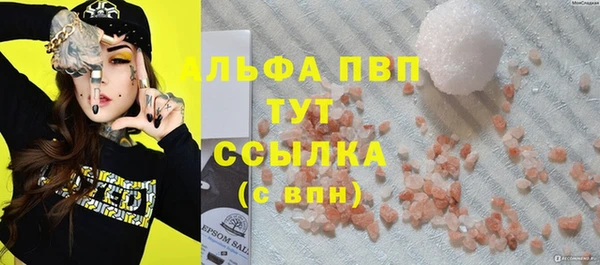 мет Алексин