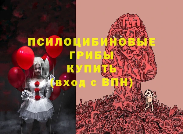 мет Алексин
