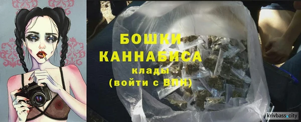 хмурый Вяземский
