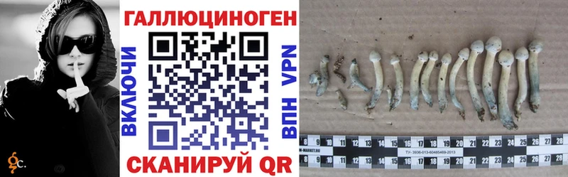 площадка как зайти  Спасск  Псилоцибиновые грибы ЛСД 